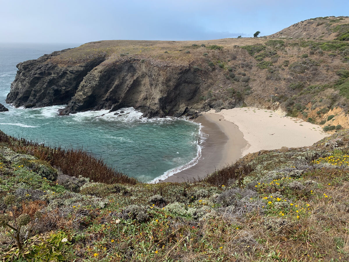 Mendocino-Coastline-03.jpg