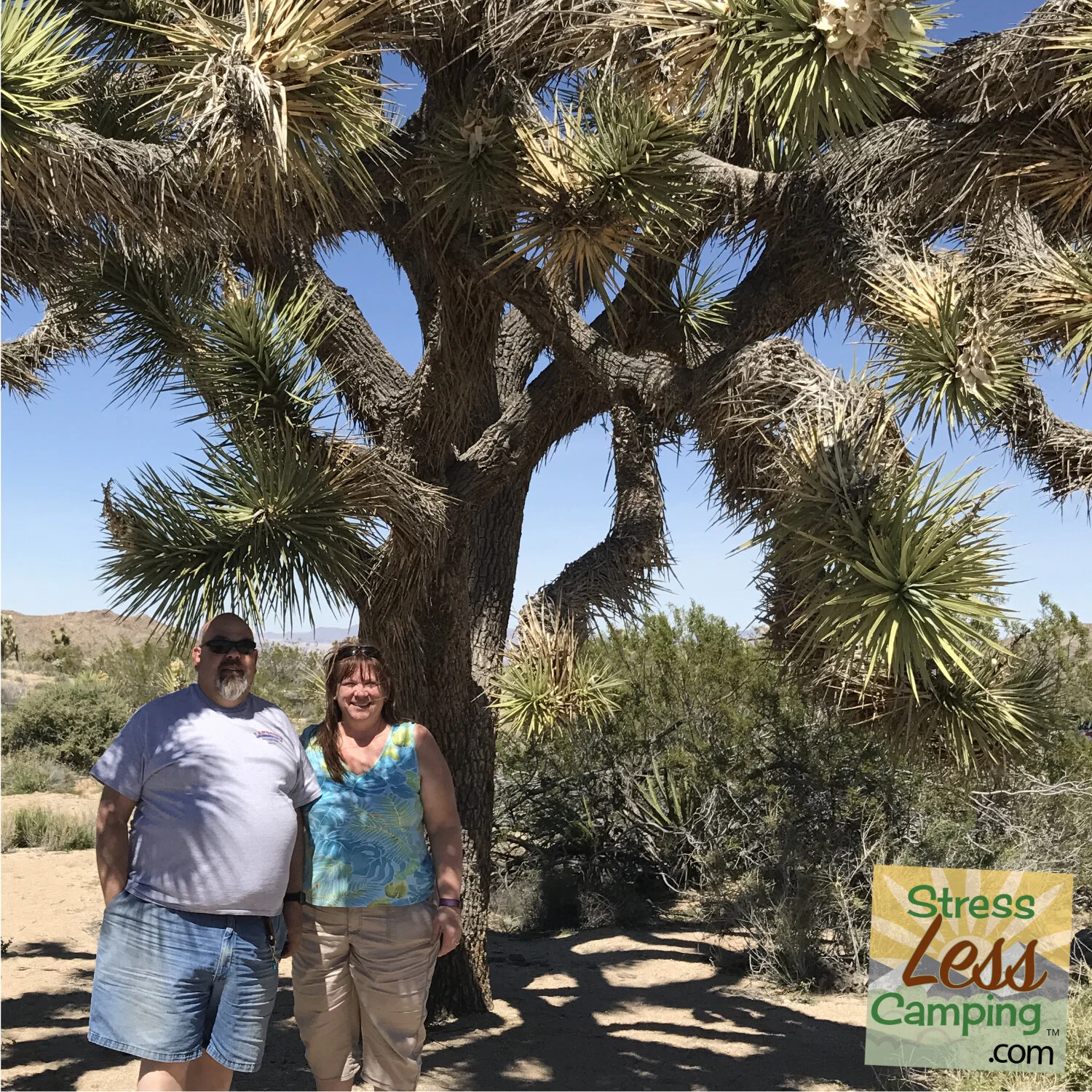 Joshua Tree National Park