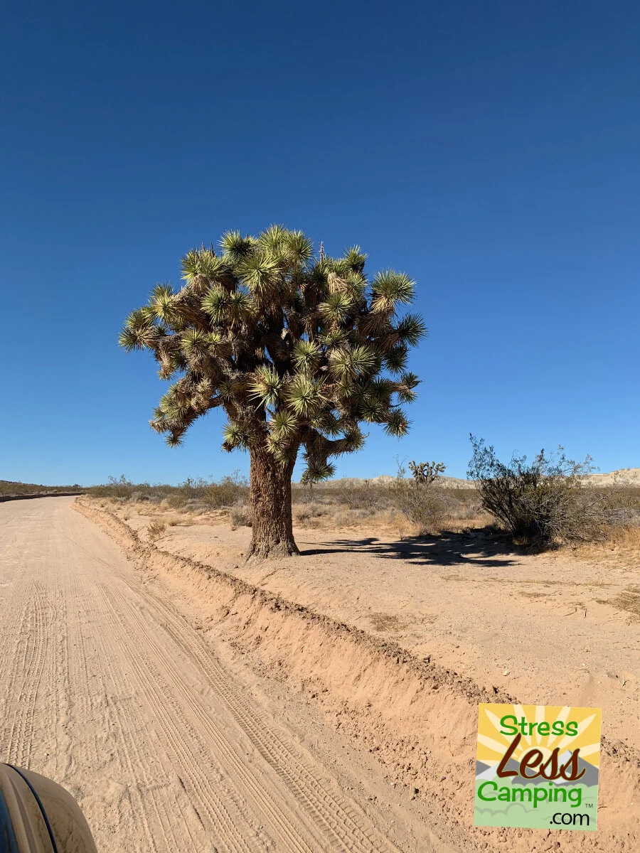 Rainbow Basin: California geological treasure trove