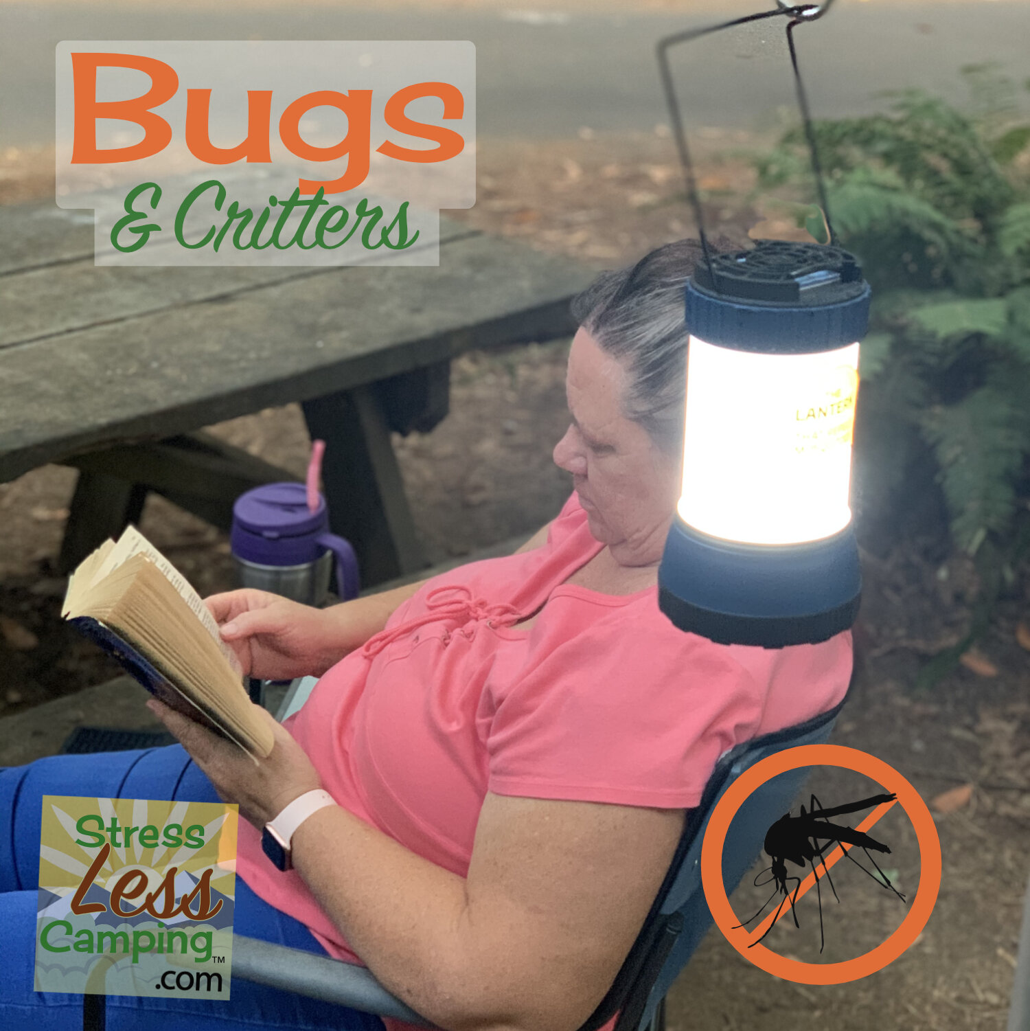 Mosquito prevention for StressLess Camping