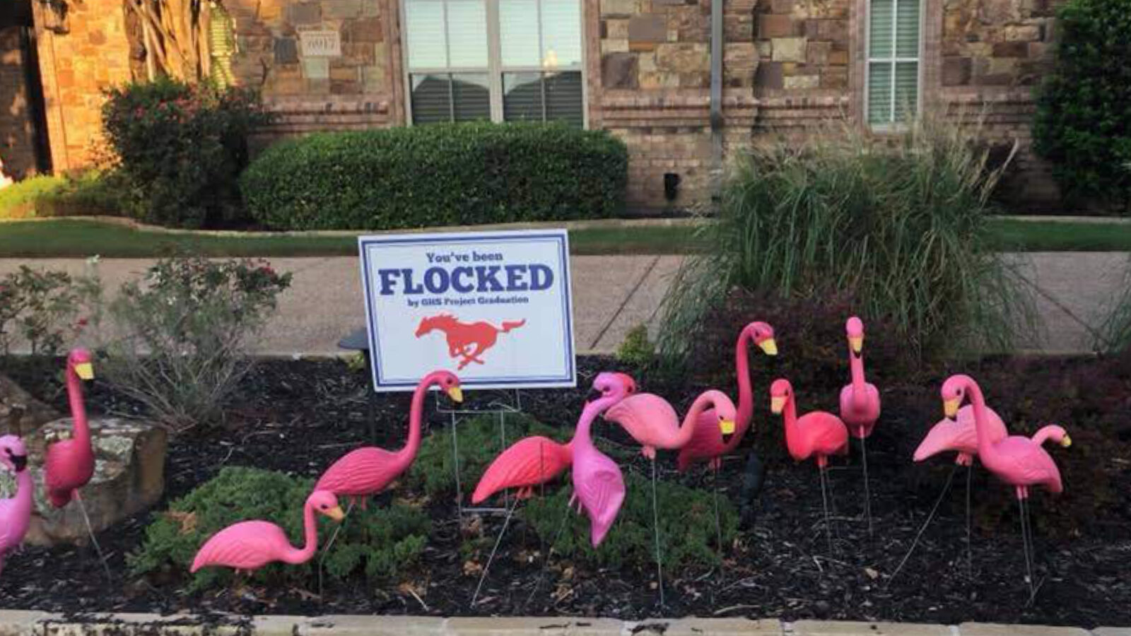 The history of Pink Flamingos - secret symbol? picture