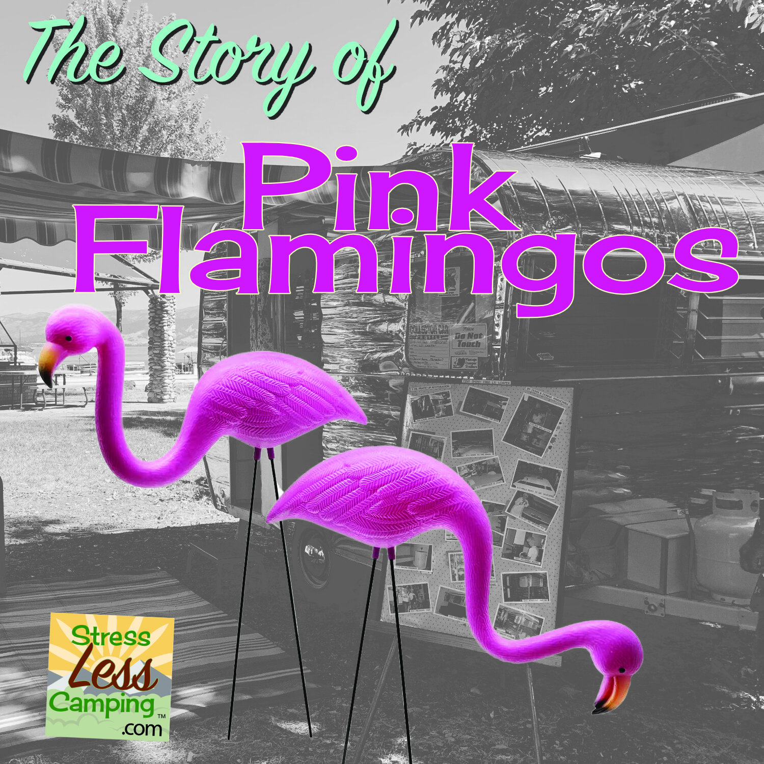 The history of Pink Flamingos - secret symbol?