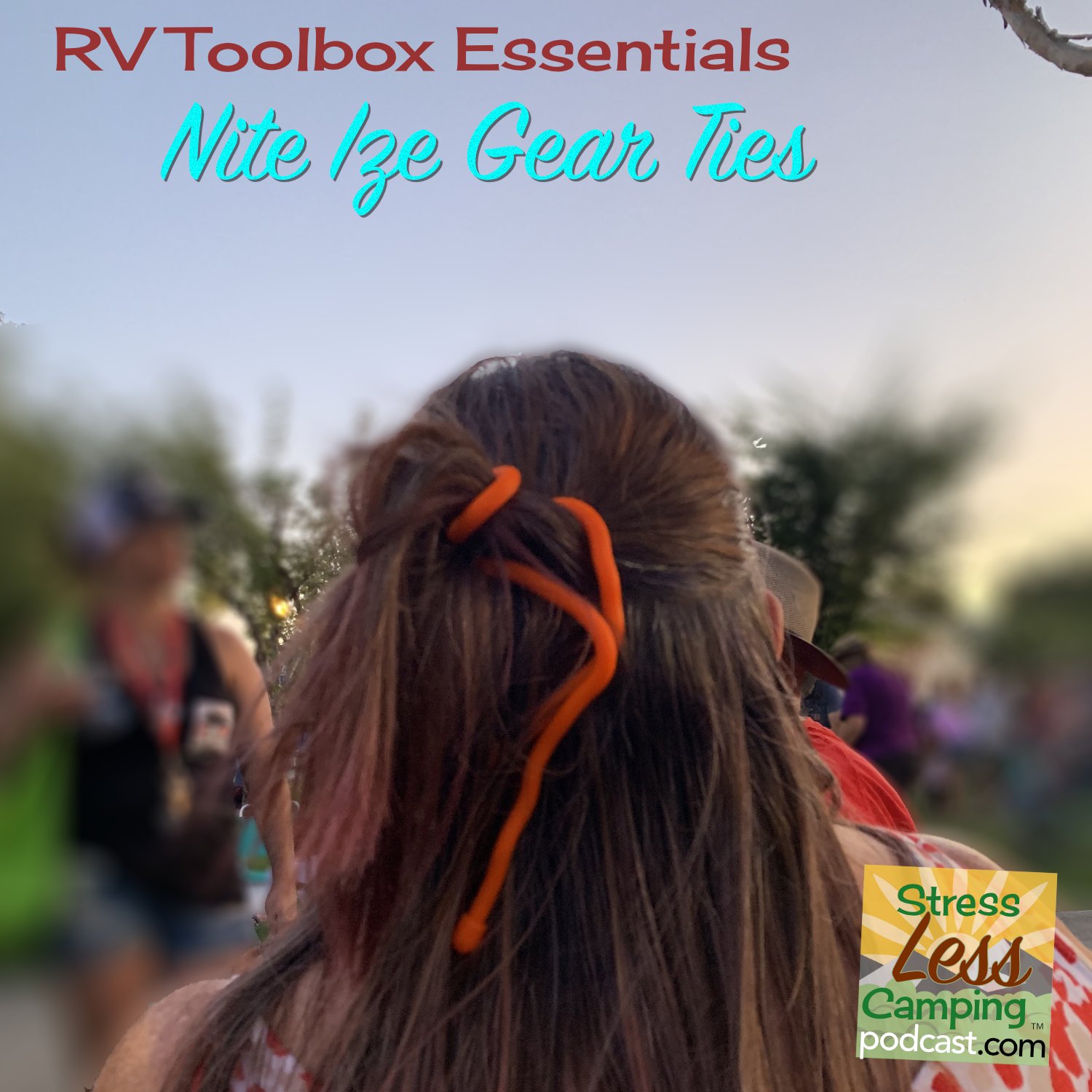 RV toolbox essential: Nite Ize gear ties