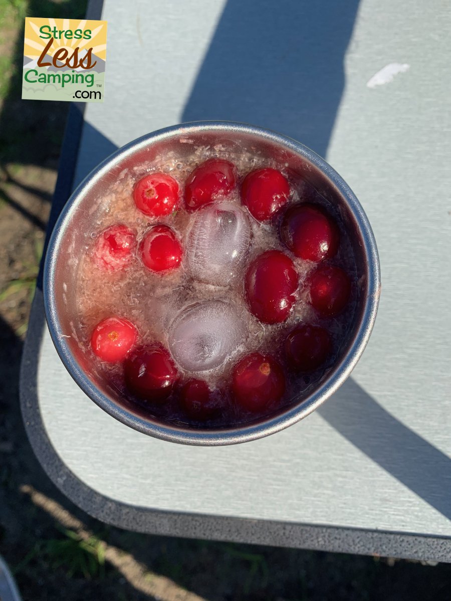 2018 Beverage with Cranberries.jpg