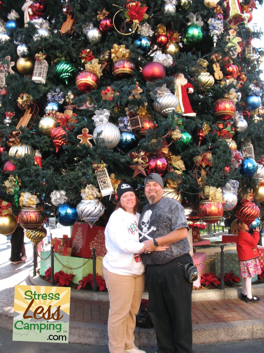 2007 Disneyland Christmas Tree.jpg