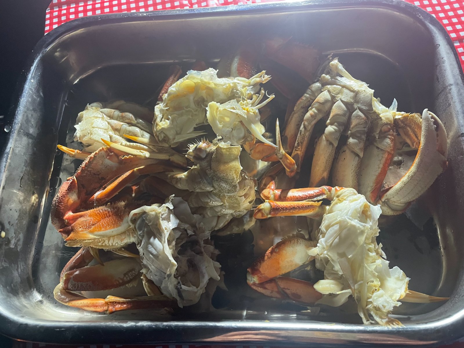 A dinner of freshly-caught crabs from Albion River.jpg