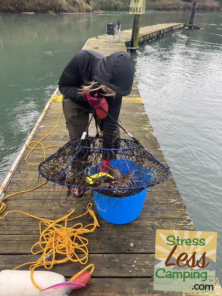 Manya successfully hauls in some crabs from Albion River.jpg