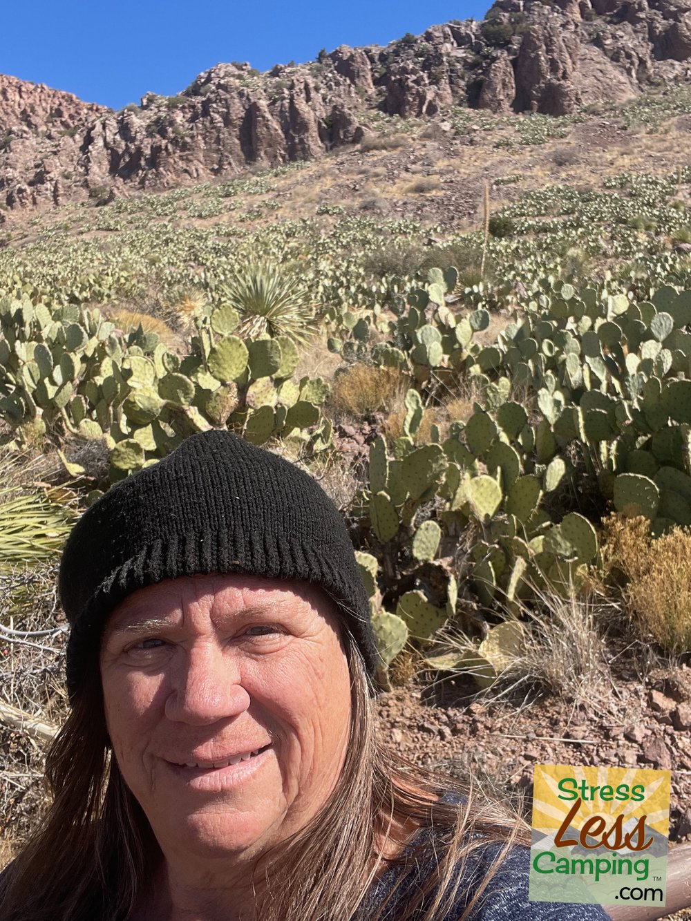 Lots and lots and lots of cacti share the landscape at Rockhound State Park.jpg