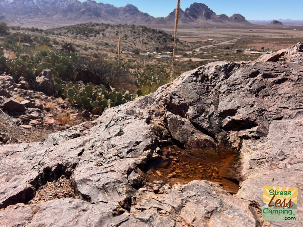 Recent rains have really brought water to the desert at Rockhound State Park.jpg