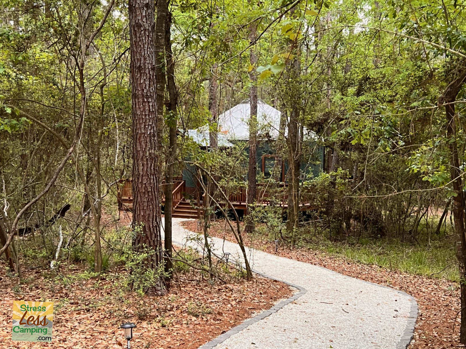 One of the yurts in the forest at Two Creeks Crossing Resort in Livingston Texas.jpg
