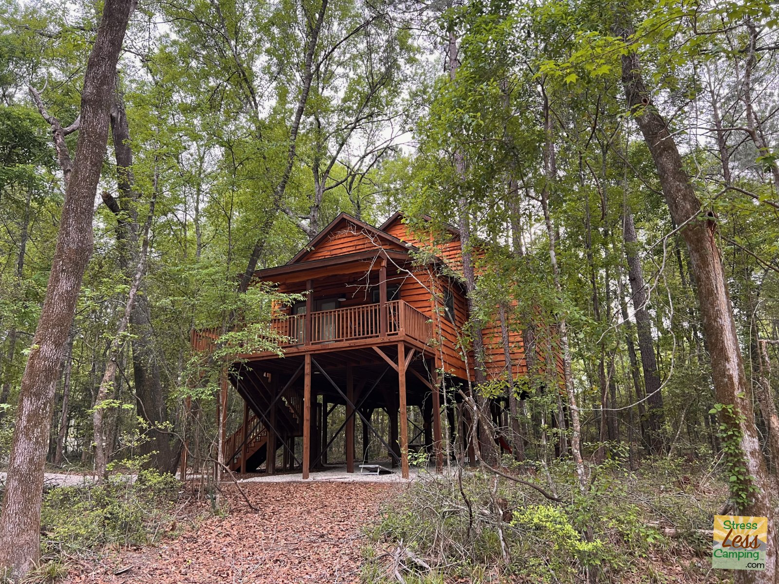 The tree house cabin at Two Creeks Crossing with several bedrooms along with a place for hammocks and games underneath the building in the forest.jpg
