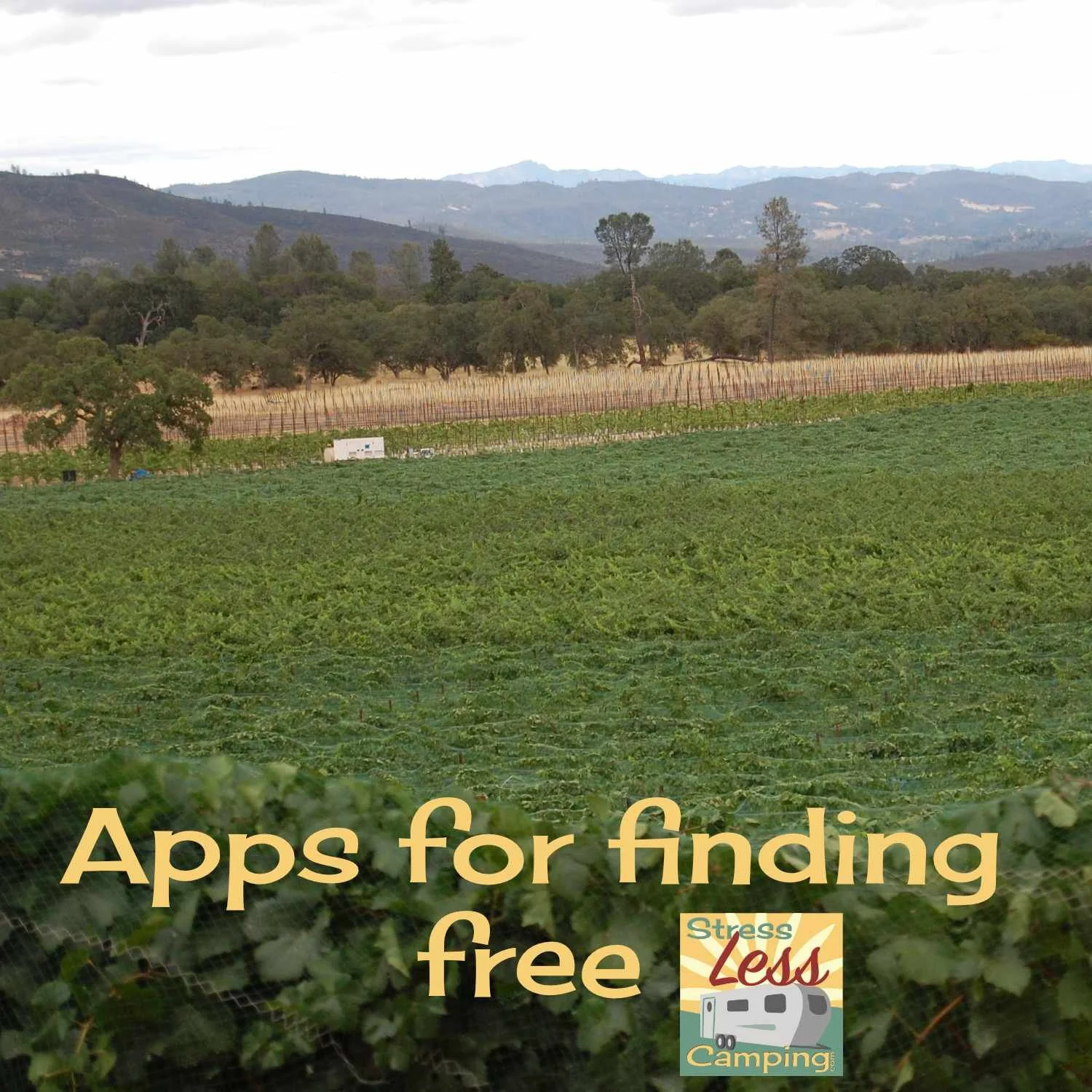 Apps (and websites) for finding free camping in 2025