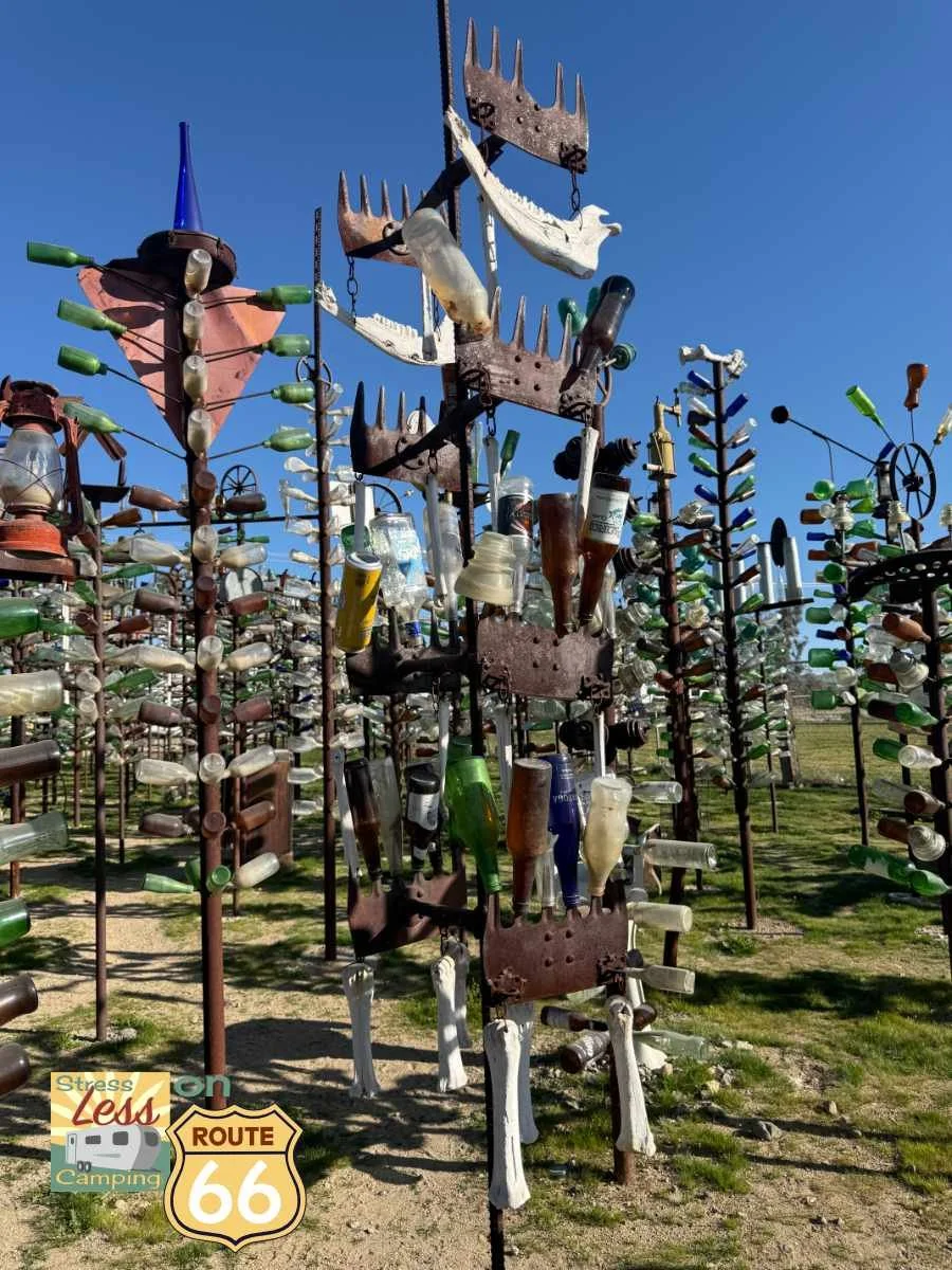 Elmer's Bottle Tree Ranch - one of over 200 bottle trees.jpg