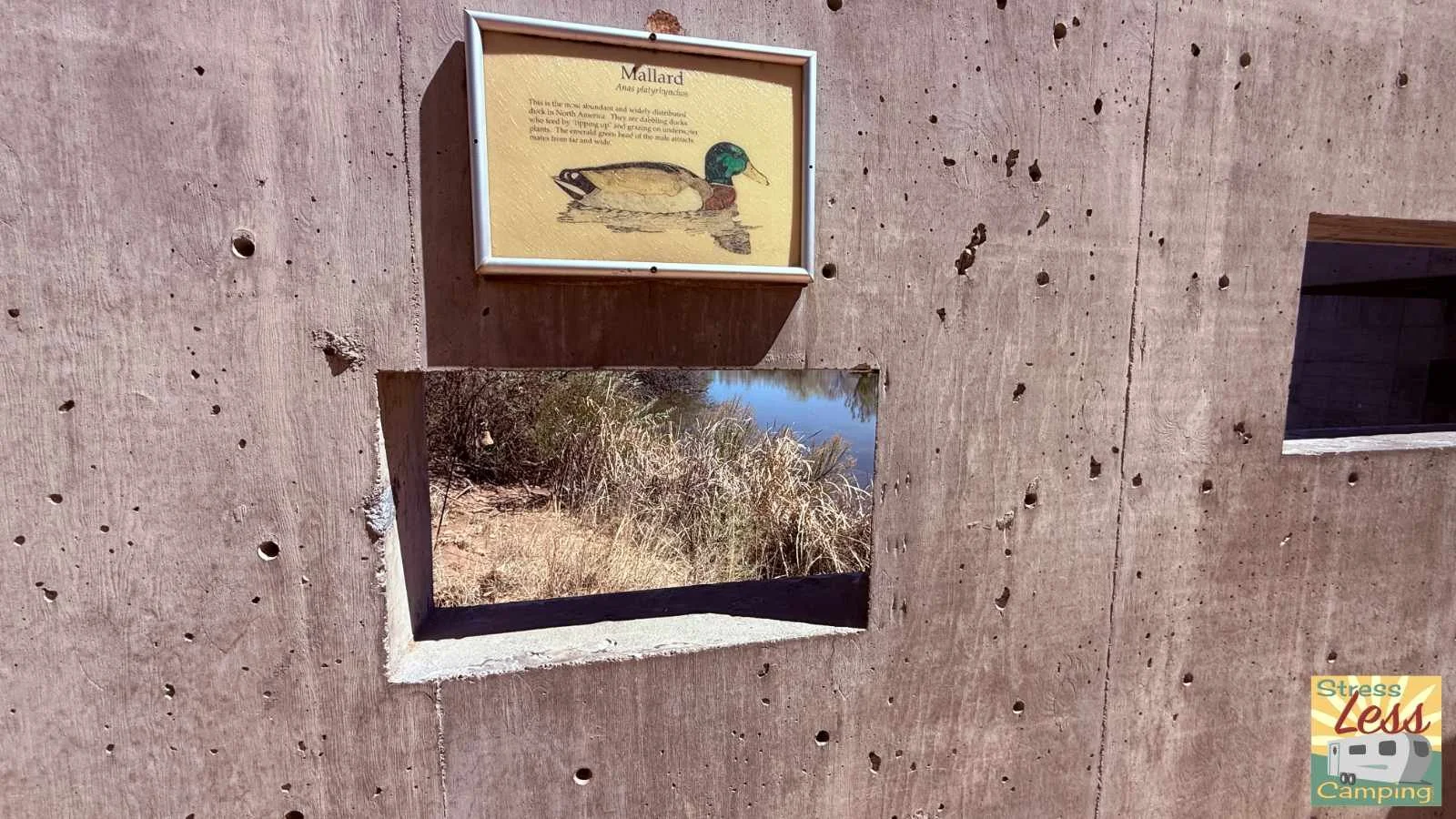 A large wall with holes to observe Discovery Pond at the Rio Grande Nature Center State Park.jpg