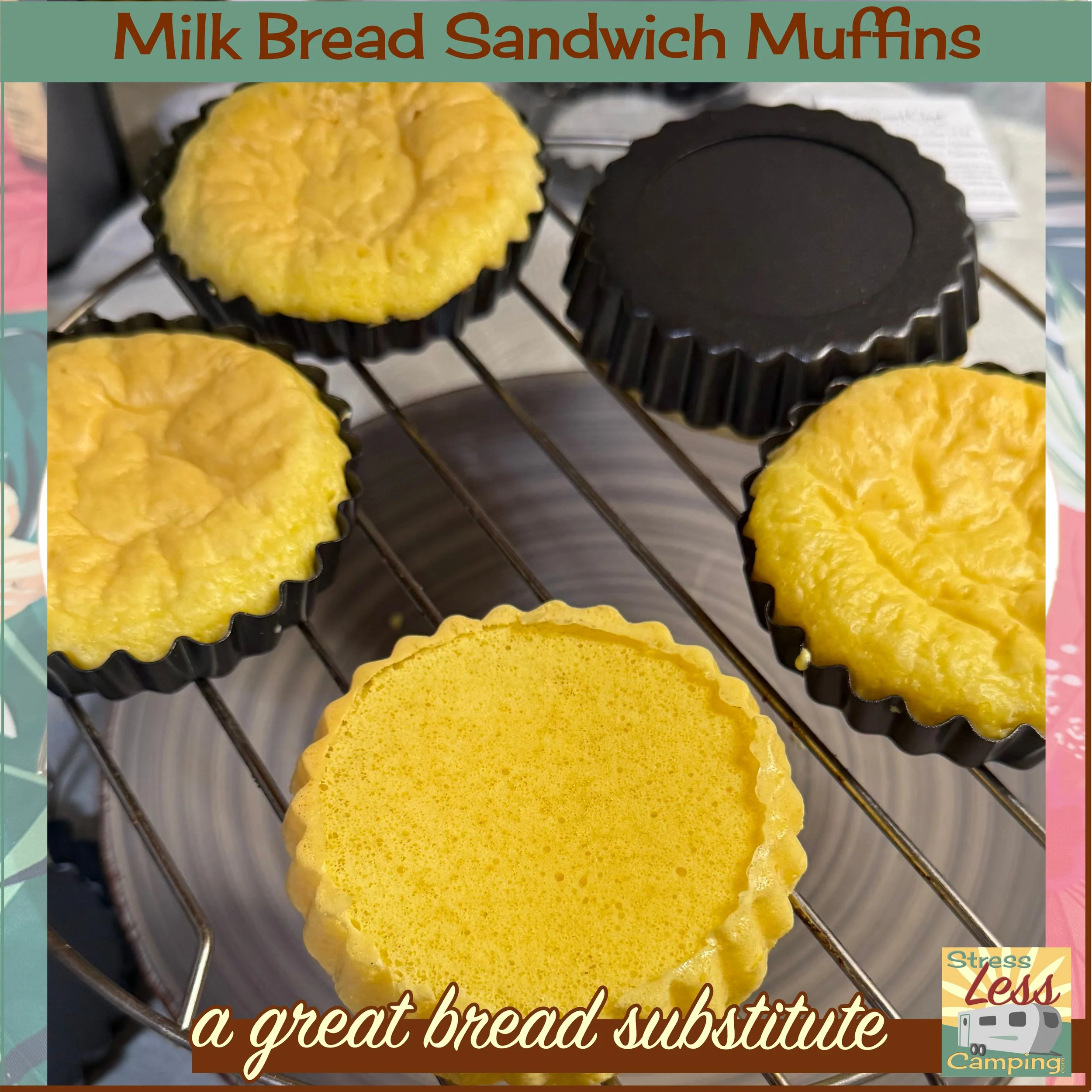 Milk Bread Sandwich Buns recipe