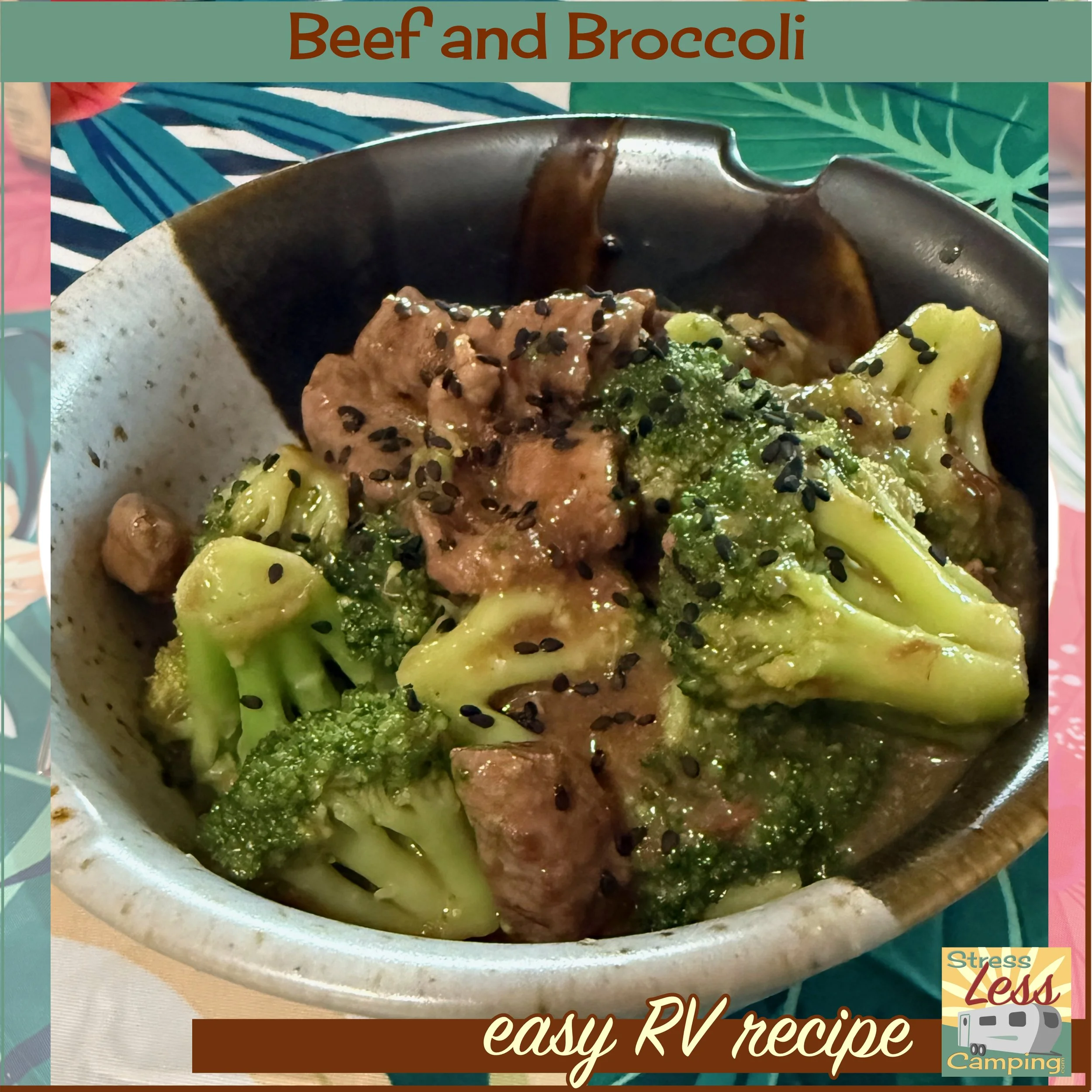Beef and Broccoli easy RV recipe