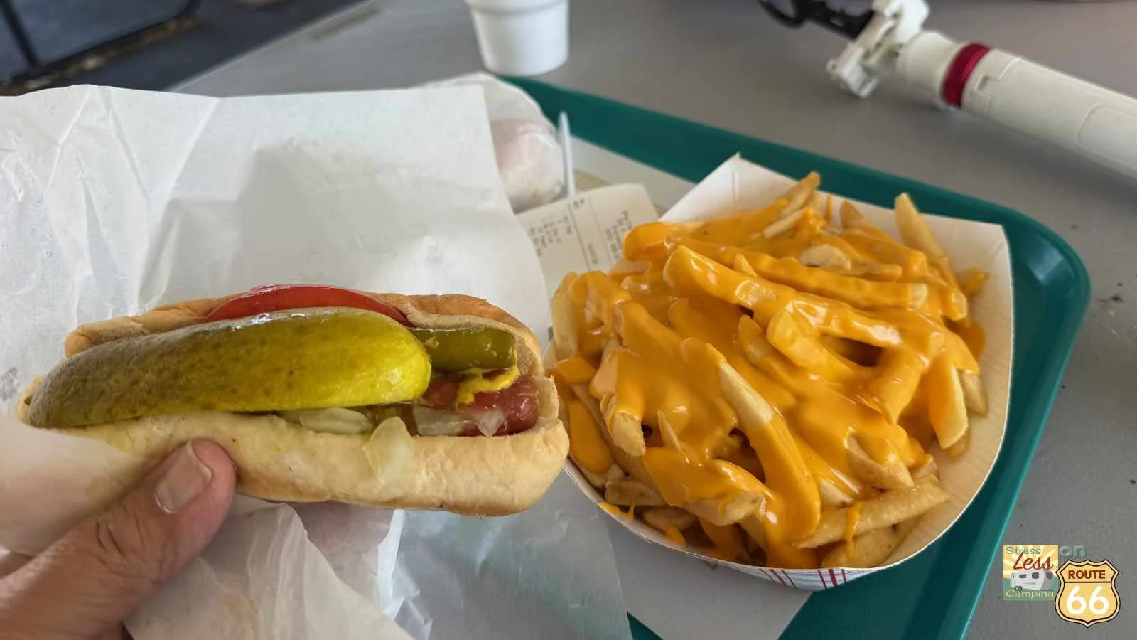 The famous cheese fries and a Chicago-style dog from the Polk-A-Dot diner.jpg