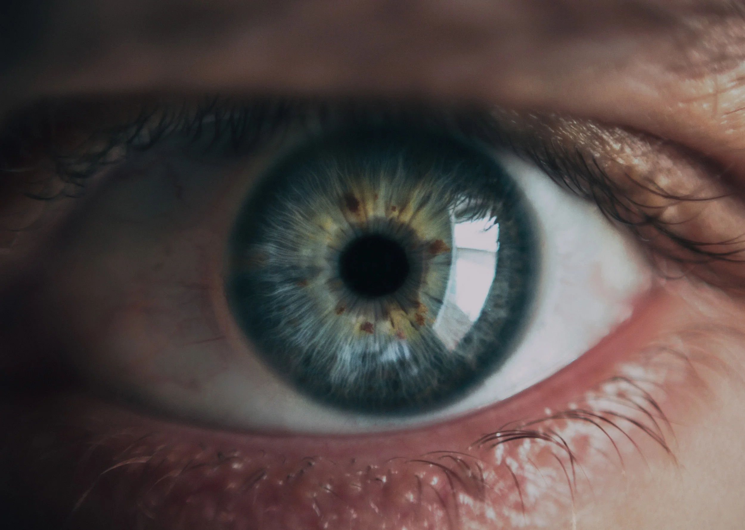 Eye_5.jpg