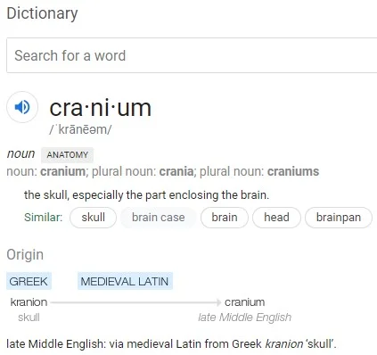 Game Spotlight: Cranium