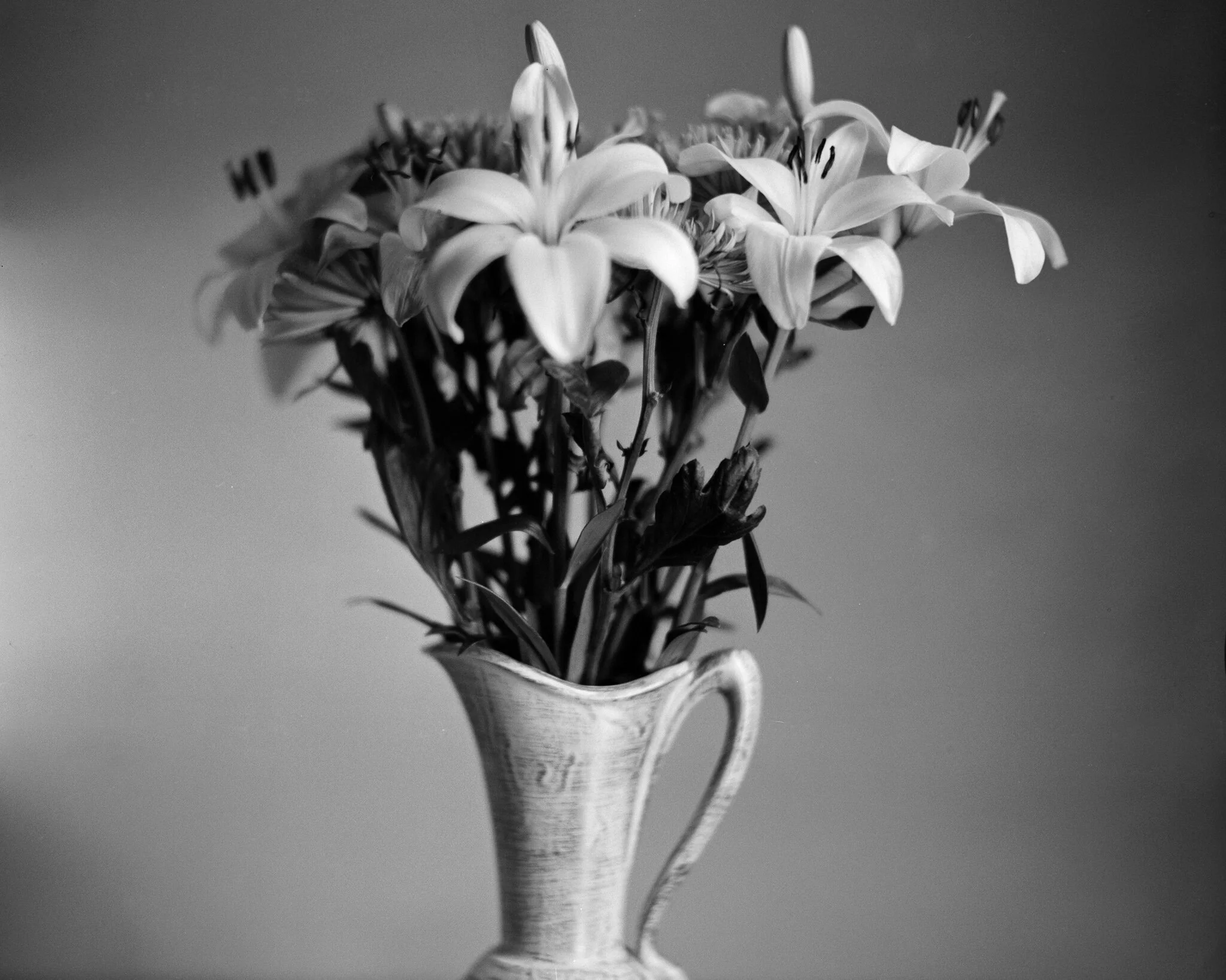 4x5-Bergger-1.jpg