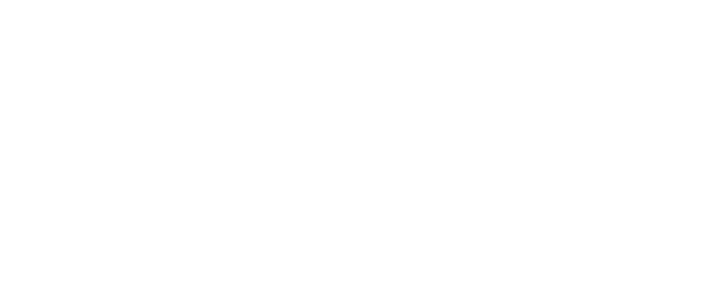 website info.png