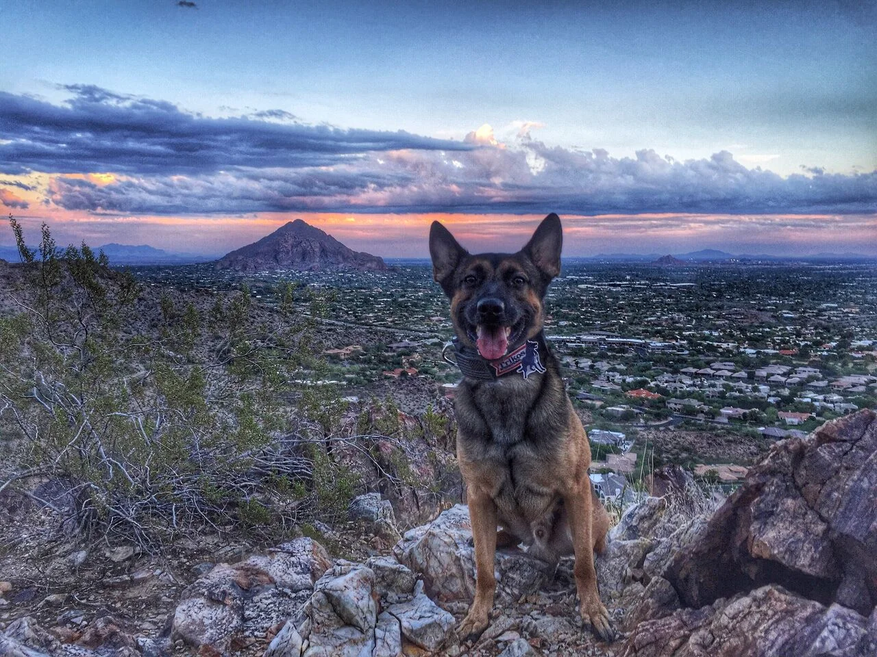 Photo Oct 29, 5 29 49 PM_preview.jpeg