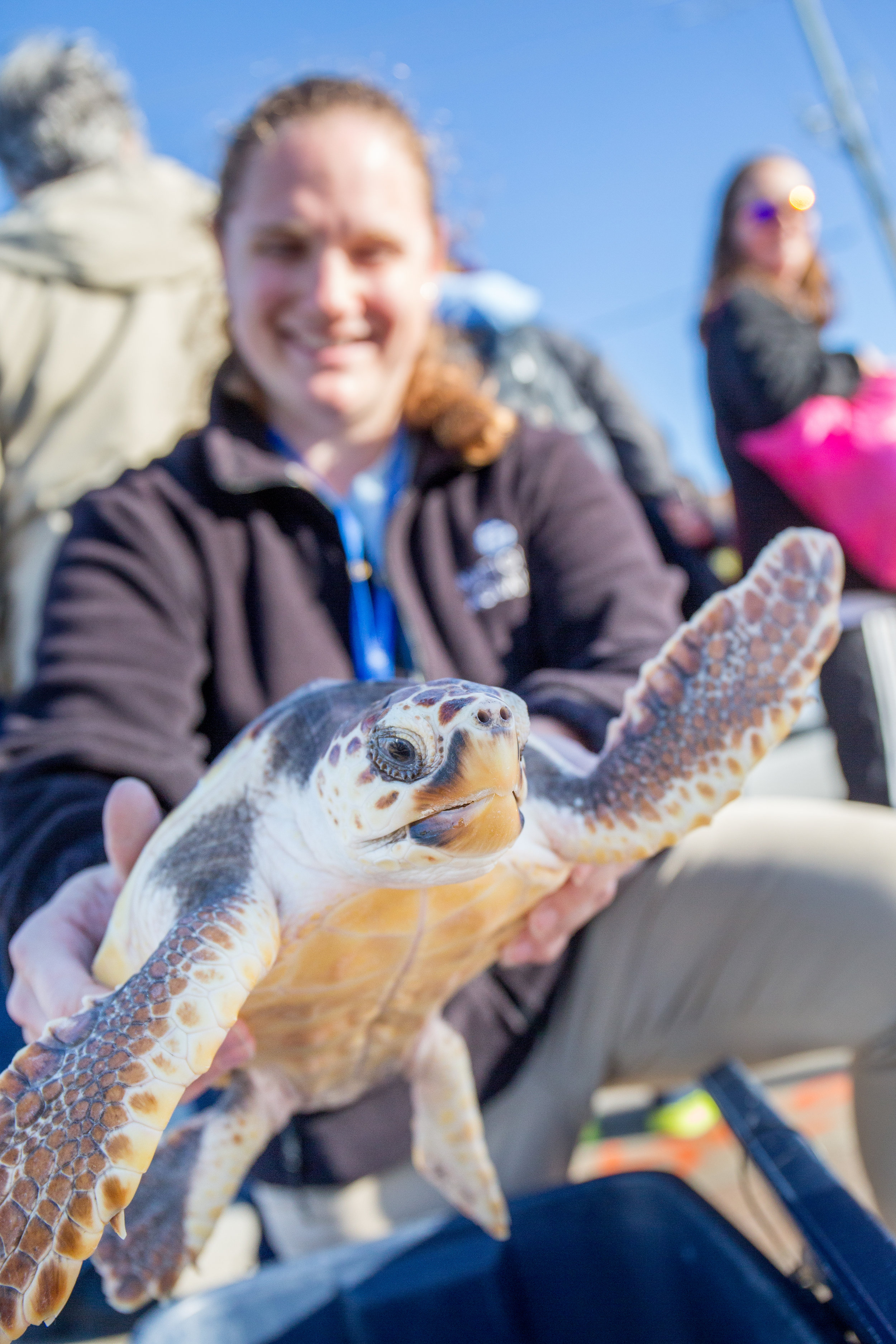 20171018loggerheadreleaseprogram-9.jpg