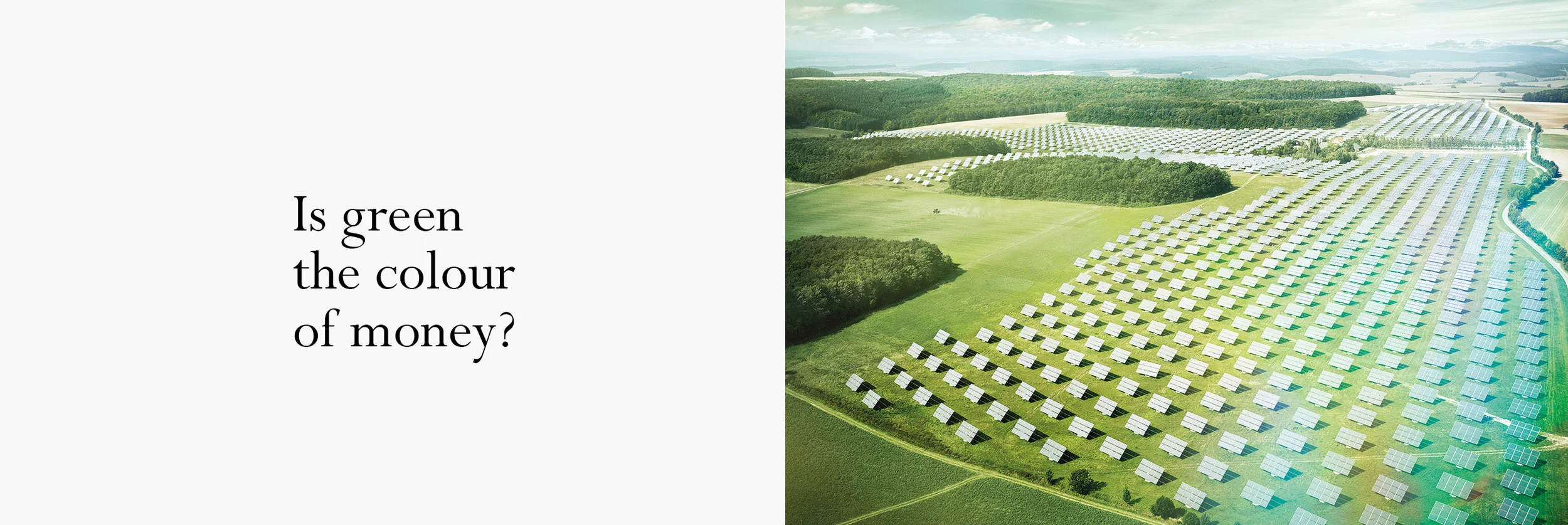 Green colour of money.jpg