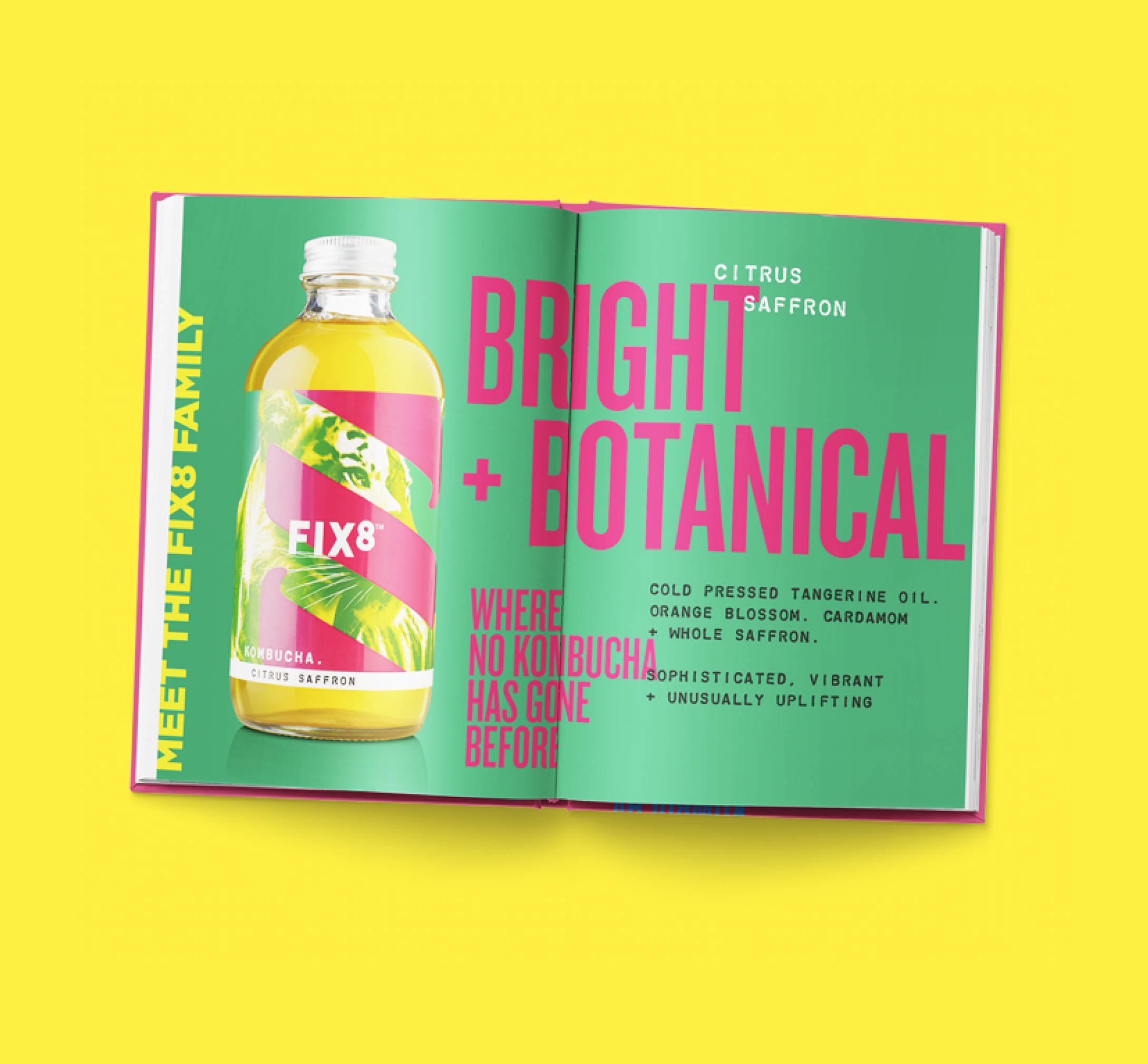 BRAND BOOK SPREAD 5.png