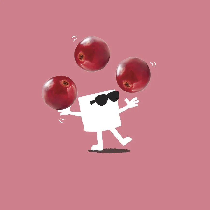 Mallow&Marsh-870X870-cranberry-dude.jpg