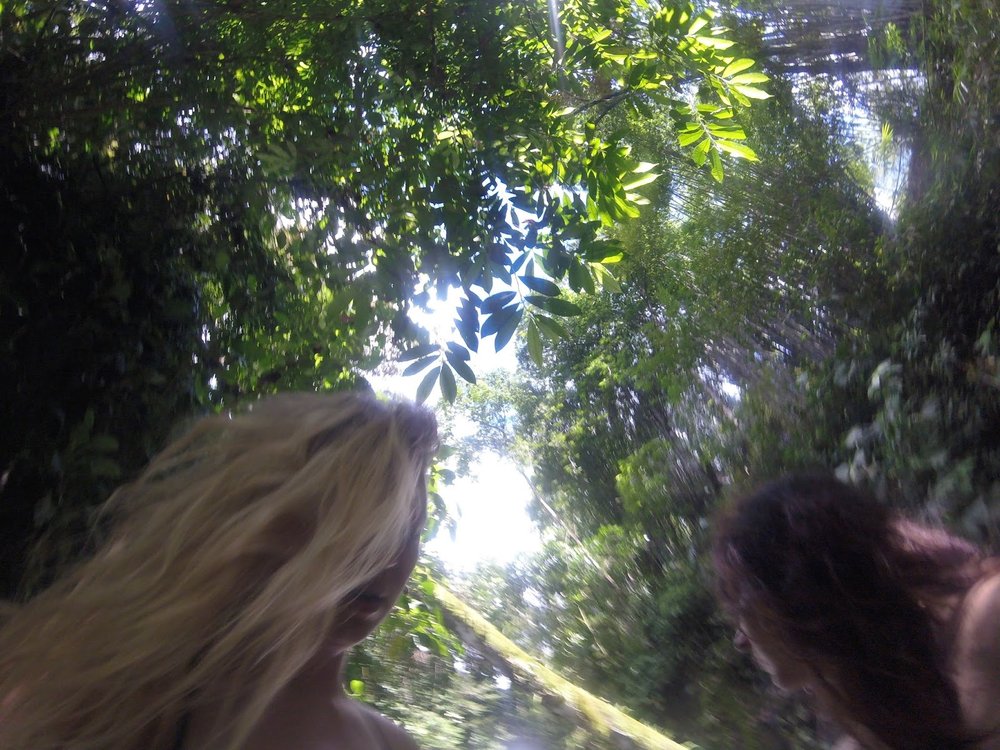 costa rica part 2 - 2.jpeg