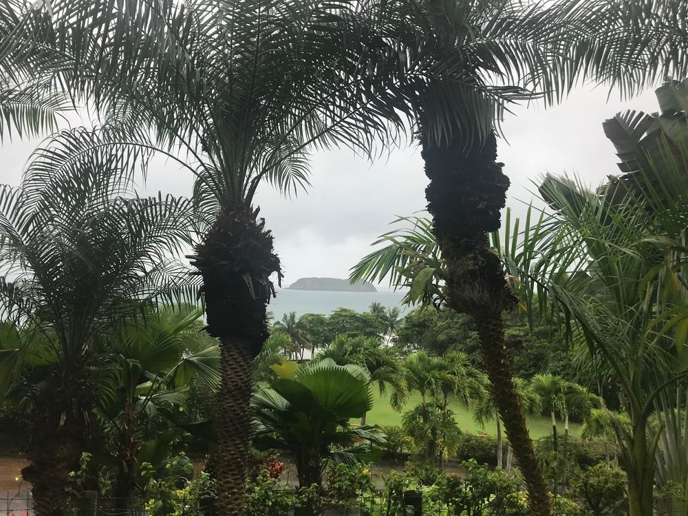 costa rica part 2 - 9.jpeg
