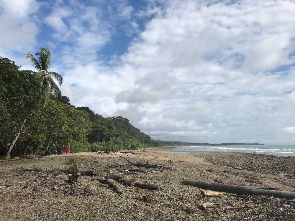 costa rica part 2 - 10.jpeg