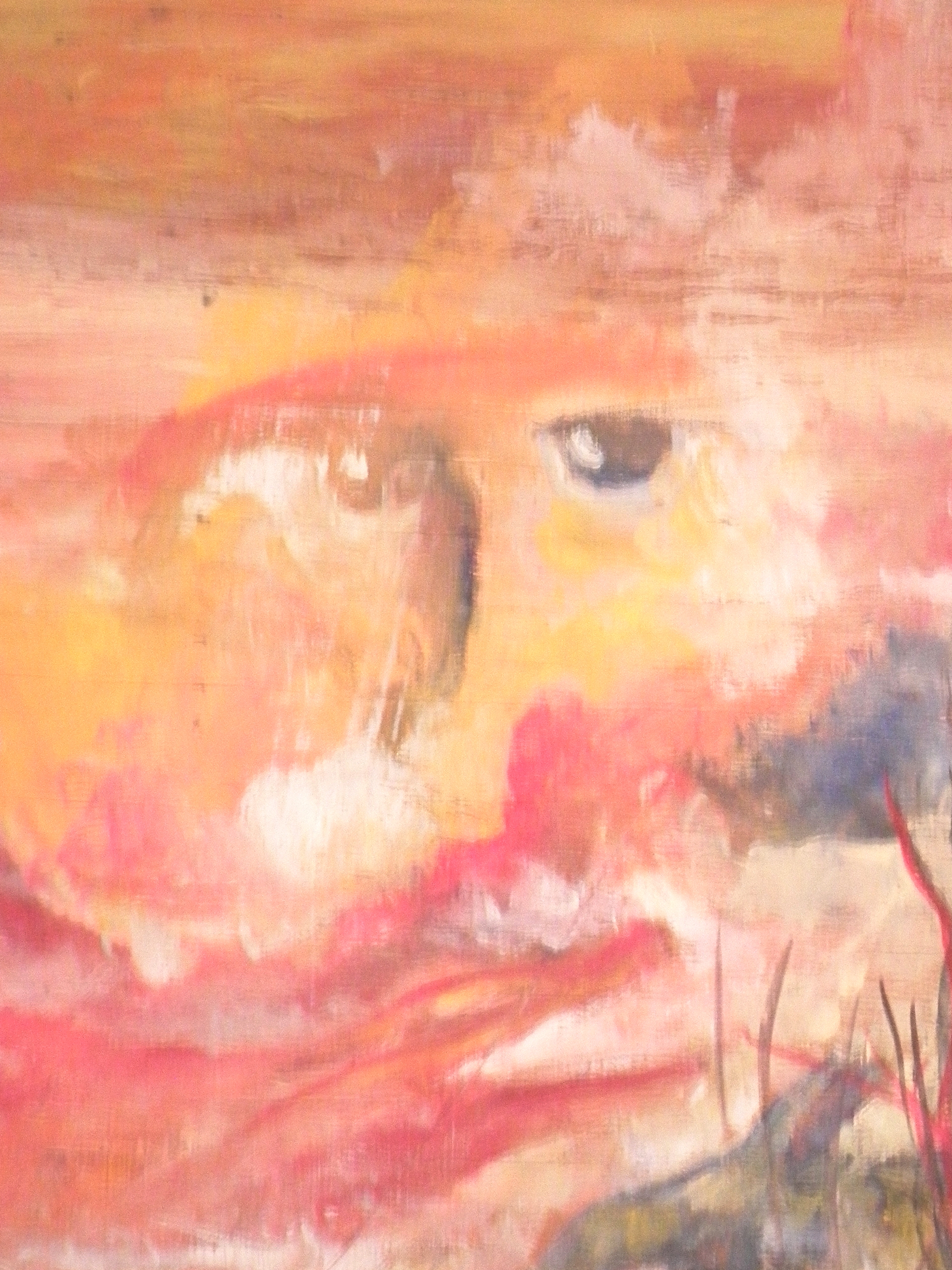 20141121 WOOD Dragon's Valley 013.JPG