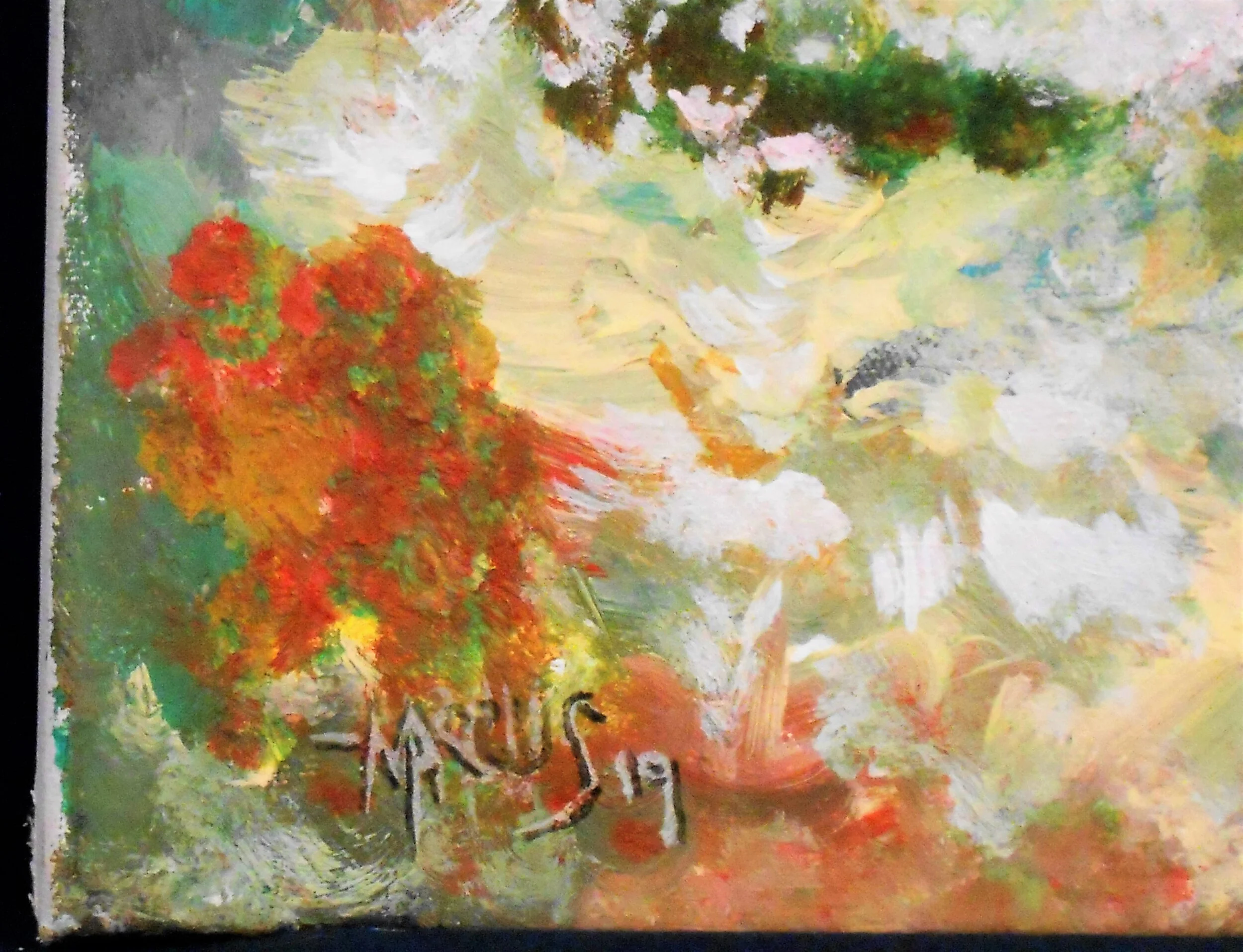 Alone in My Oasis 01.07.19 (3).JPG