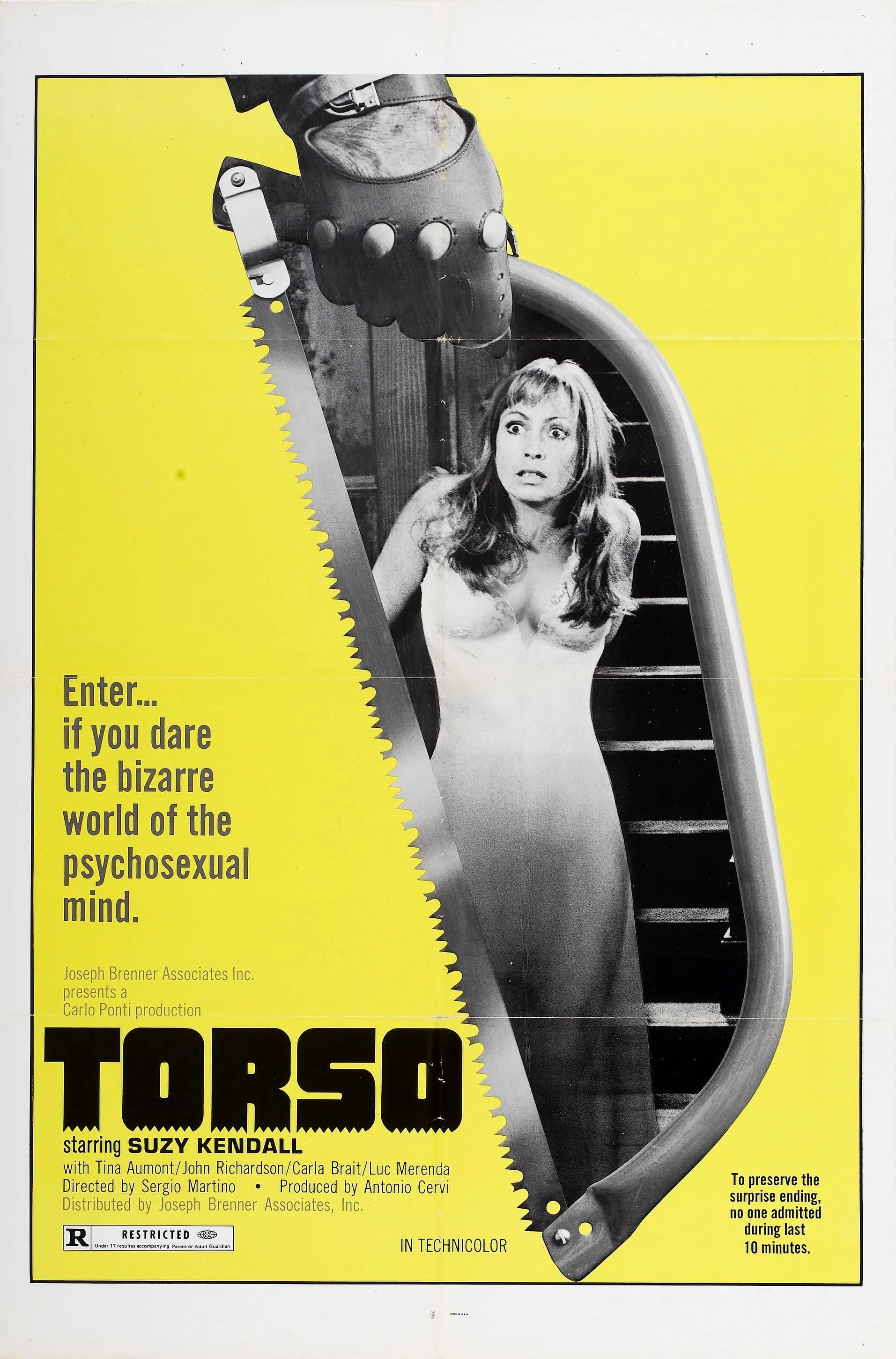 torso-poster.jpg