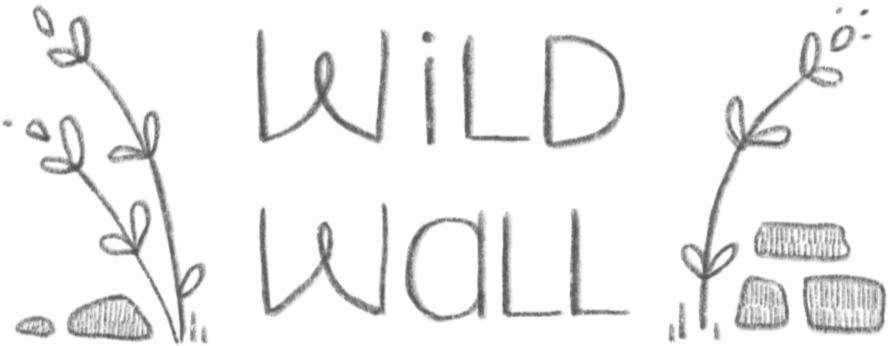 Wild Wall Studios
