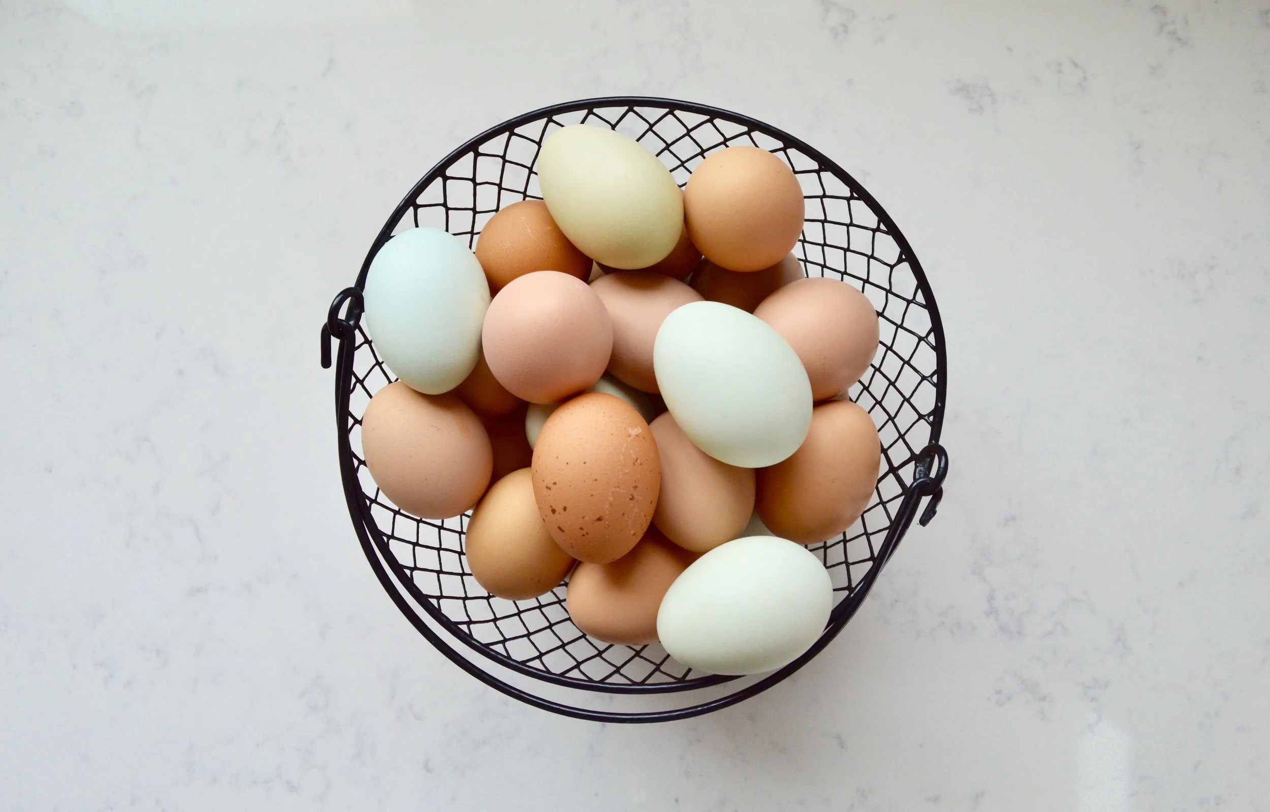 farm fresh eggs, why we homestead