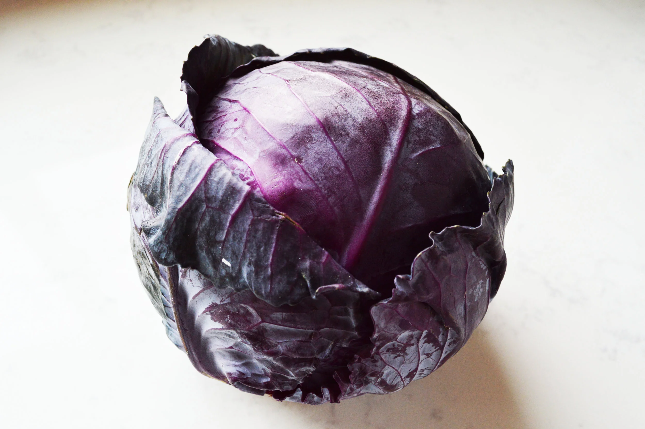 red cabbage
