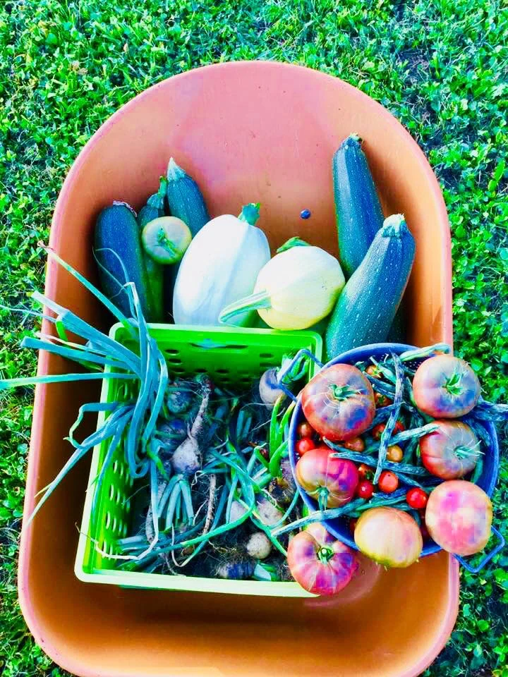 women who farm, harvest