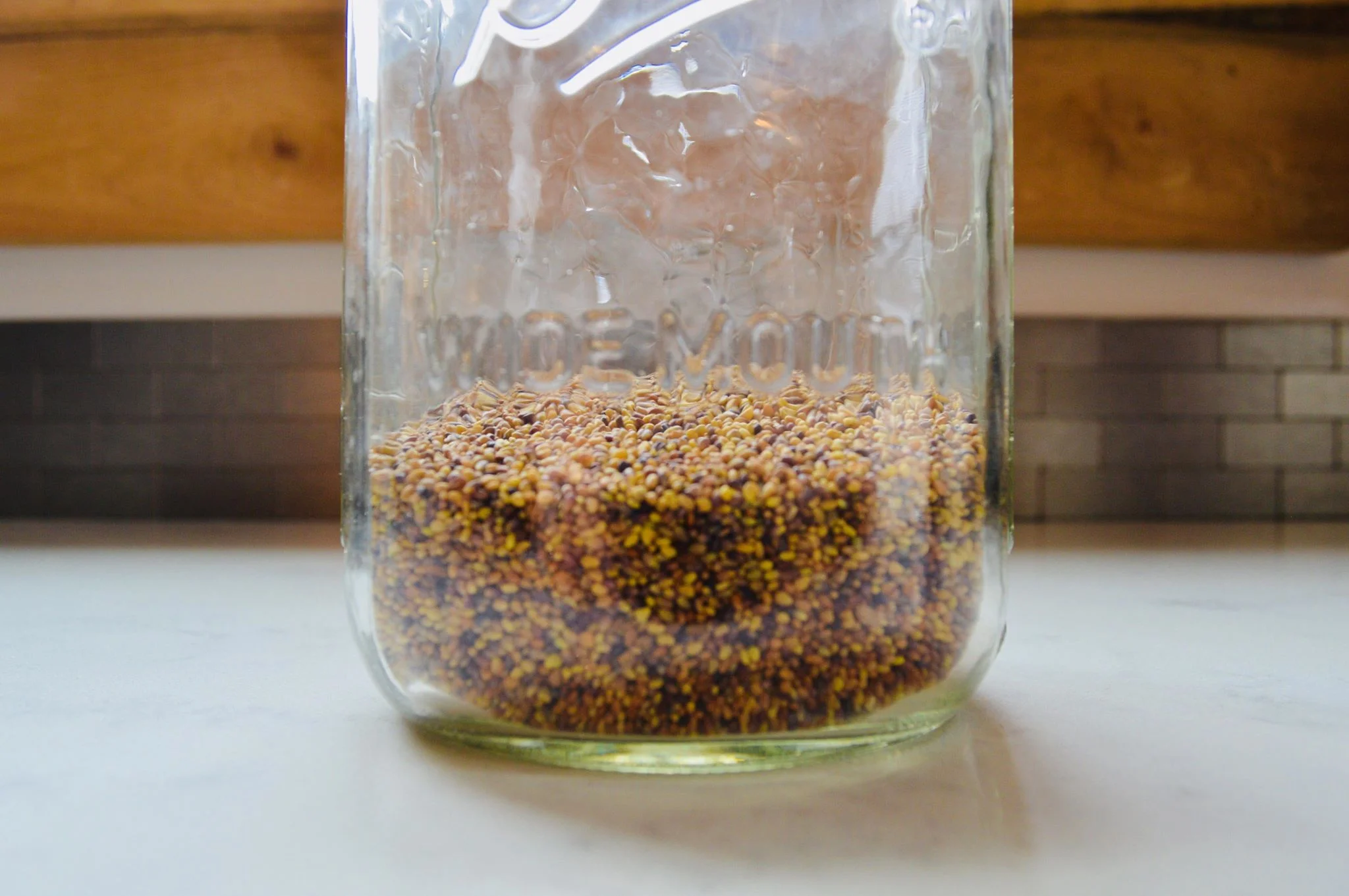 alfalfa, sprouting seeds