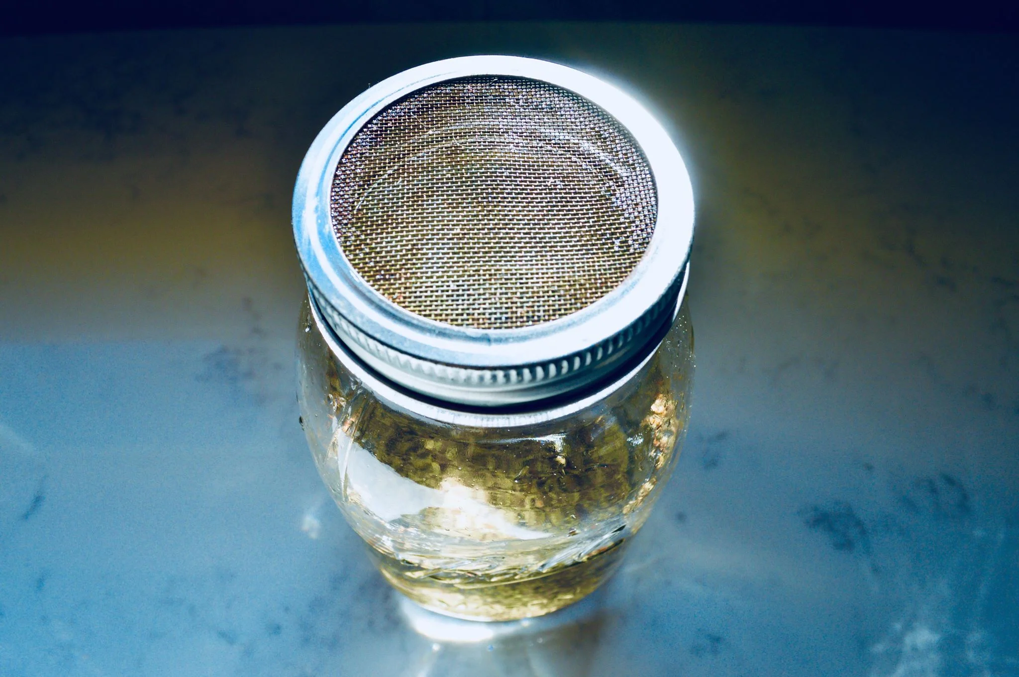 sprouting lid