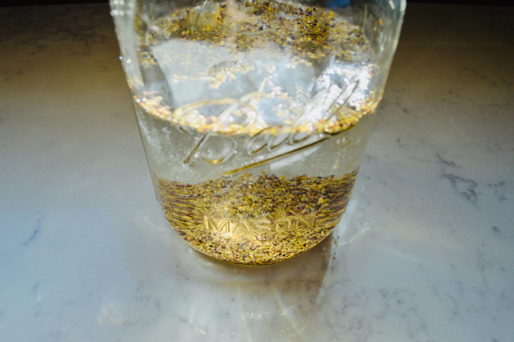 sprouting lid