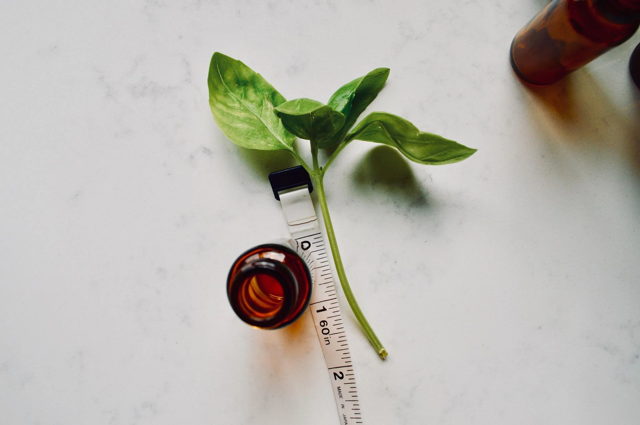 basil clipping