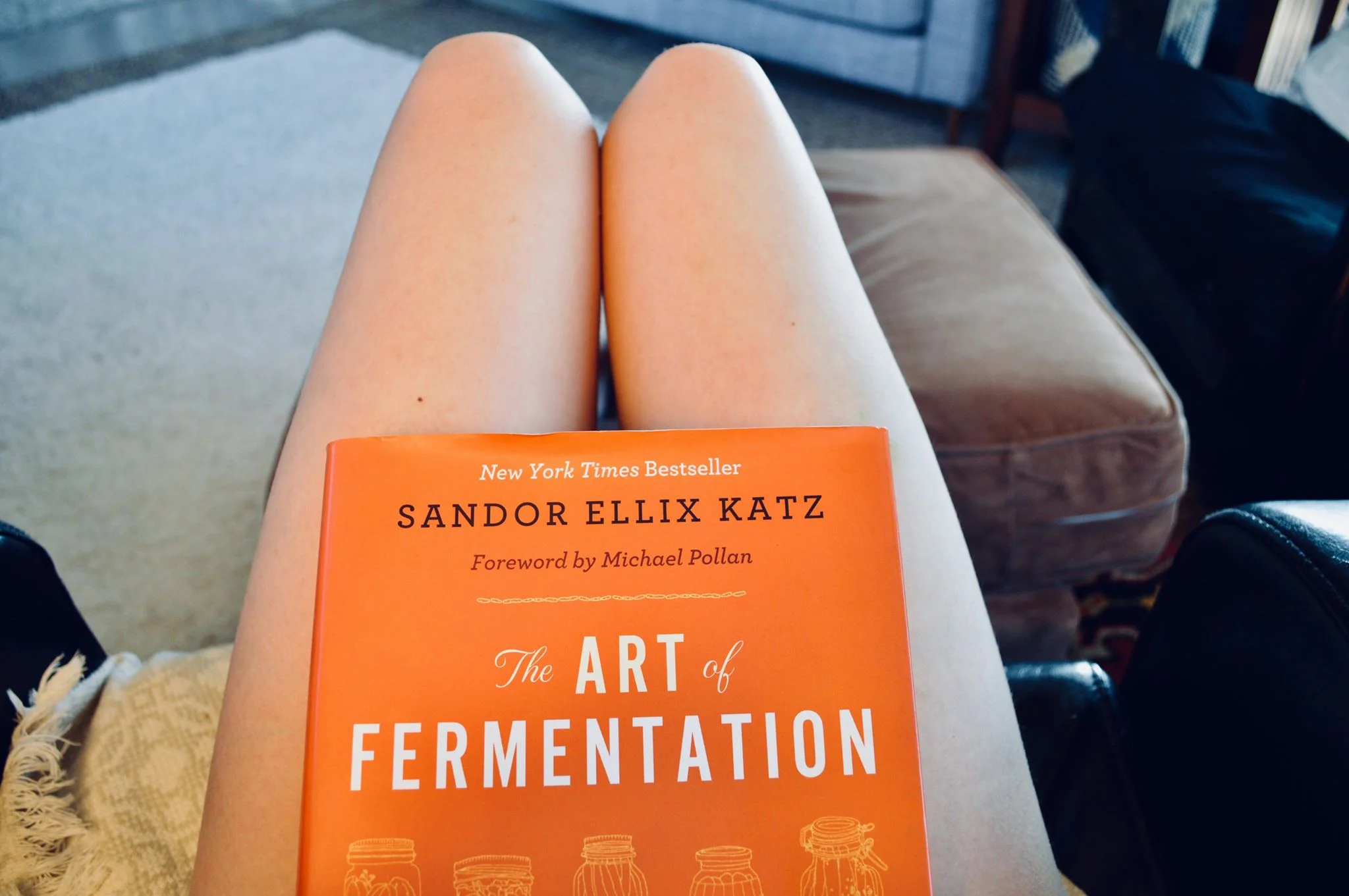 sandor katz, the art of fermentation, kombucha, fermenting, brewing, homesteading, modern homestead, farmher