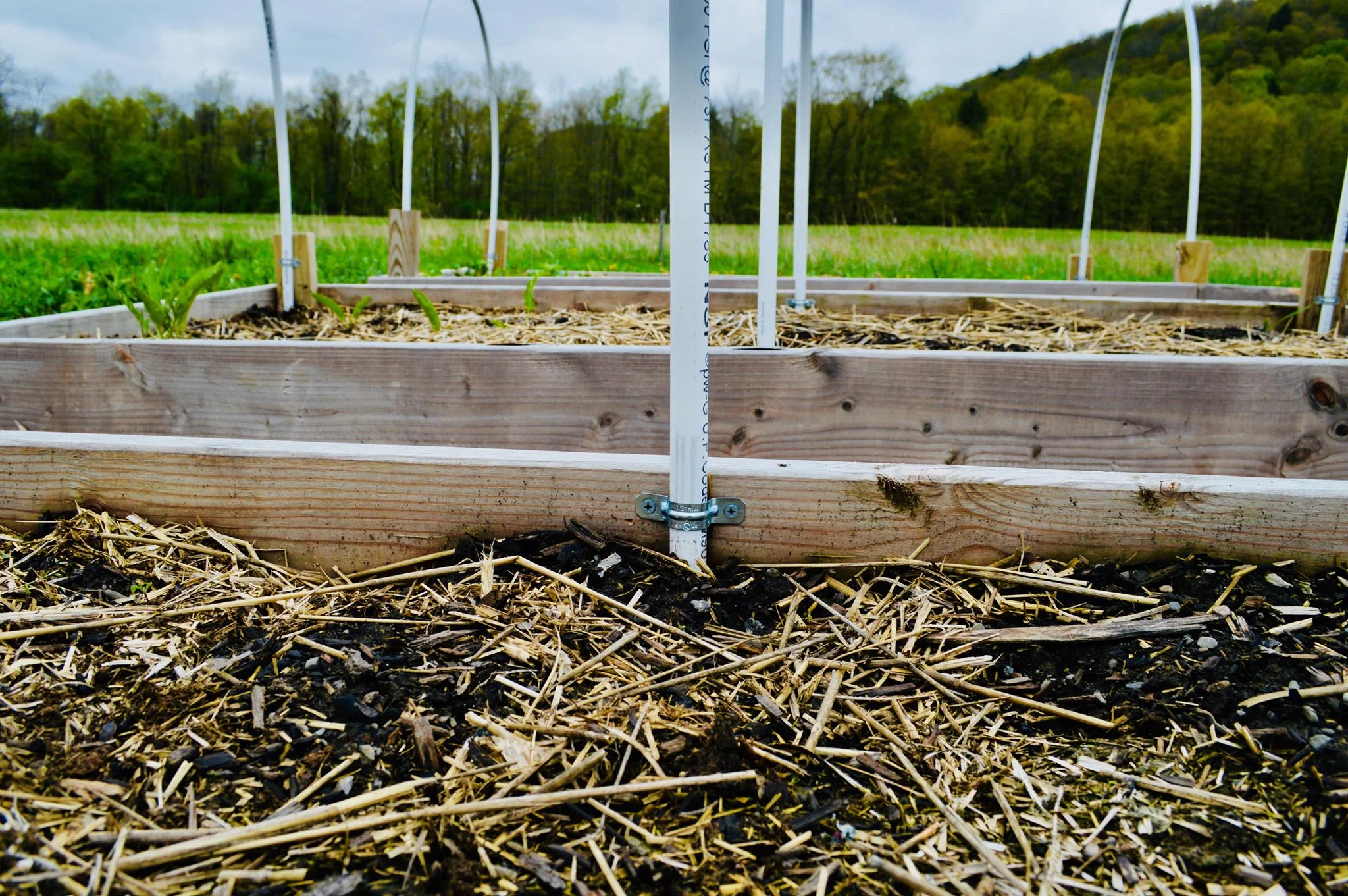 garden tunnel, raised bed, hoop house, greenhouse, polytunnel, pest control, deer netting, shade cloth, organic gardening, modern homestead, backyard garden, diy garden, microfarm