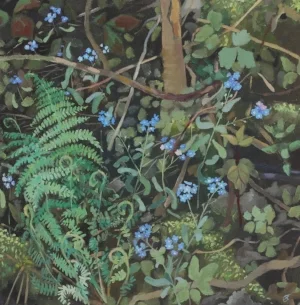 Forget-me-not and Fern