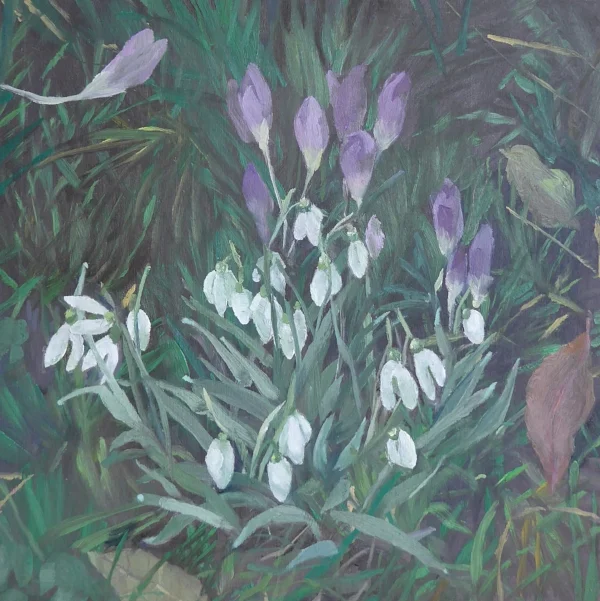 Snowdrops and Crocus