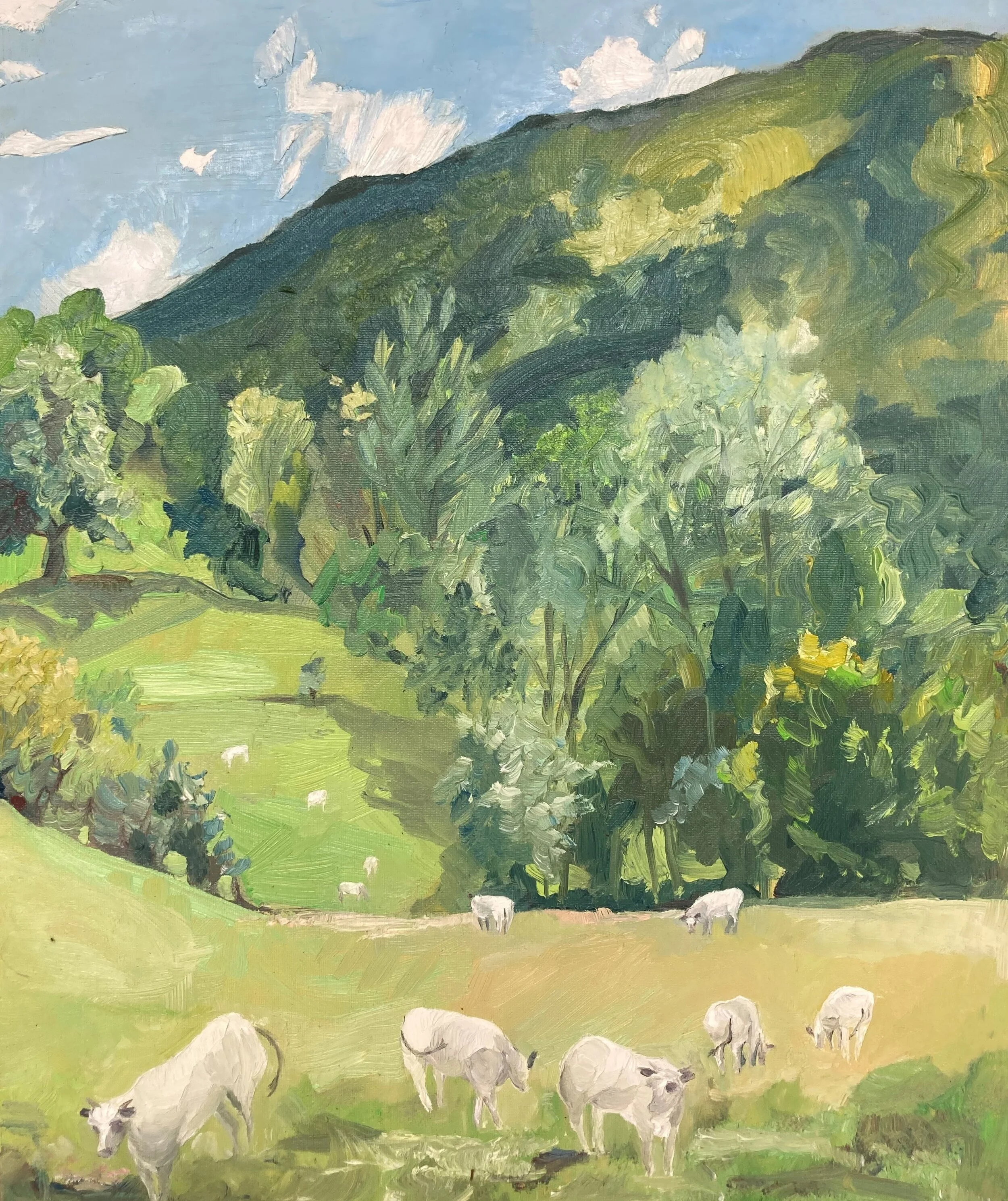 Vaches bleues de gascogne