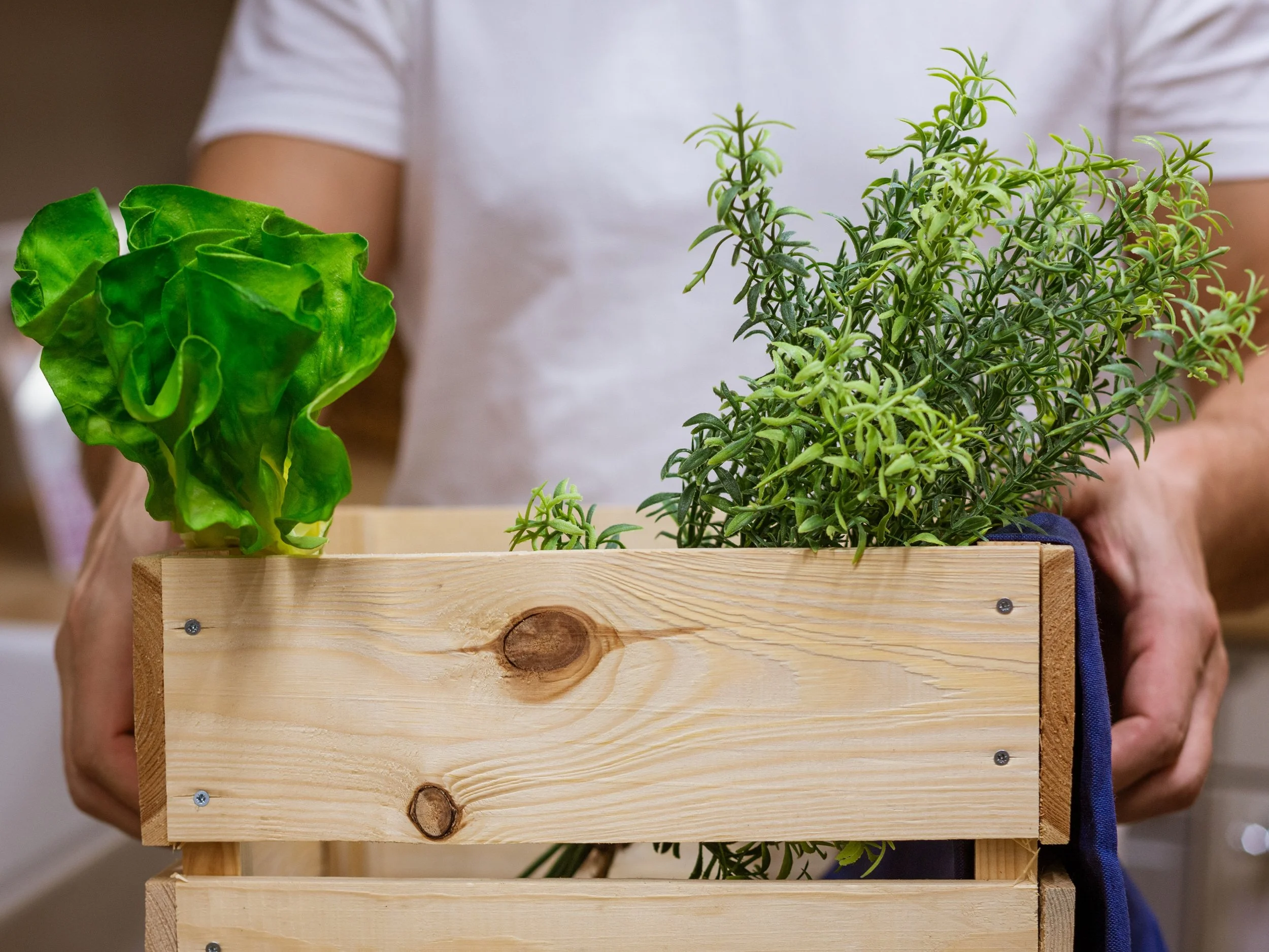 man-holds-wooden-box-with-greenery--.jpg